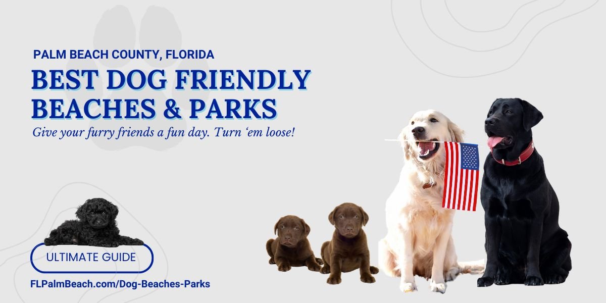 Best Dog Parks & Dog-Beaches in Palm Beach County: Comprehensive Guide 2025