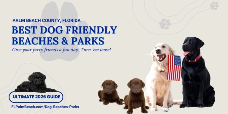 BEST DOG BEACHES & PARKS • PALM BEACH COUNTY • 2026 COMPREHENSIVE GUIDE Best Dog Friendly Beaches & Parks 2026 Ultimate Guide Blog Header Image