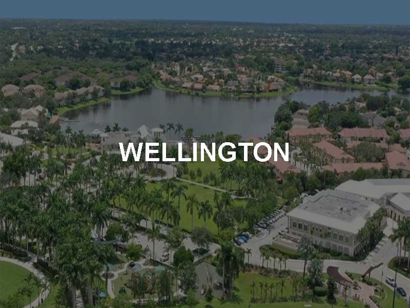 Wellington Image Name Martin Group Real Estate Homes Palm Beaches FLPalmBeach